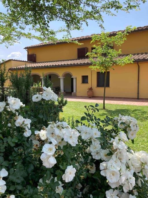 Il Casale Apartment Limite Bagian luar foto